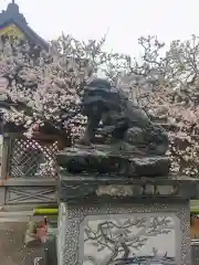 湯島天満宮の狛犬