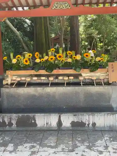 武蔵一宮氷川神社(埼玉県)