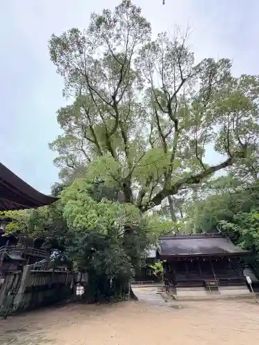 白鳥神社(香川県)