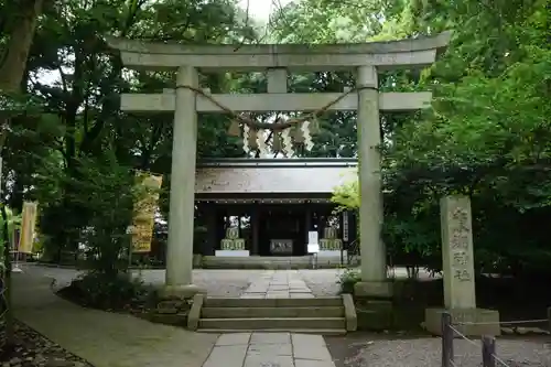 常磐神社の鳥居