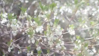 伊勢の国 四天王寺(三重県)