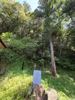 出雲大社(島根県)
