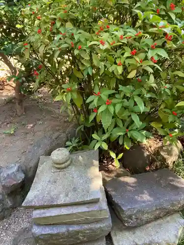 円蔵寺(神奈川県)