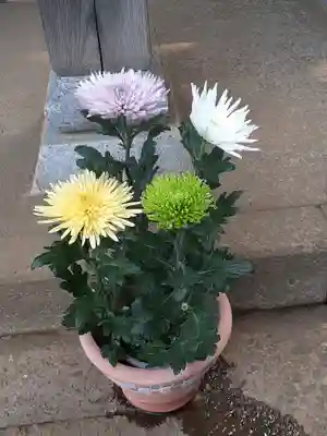 伏木香取神社(茨城県)