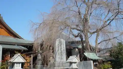 櫻本坊の建物その他