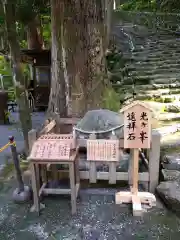 飛瀧神社（熊野那智大社別宮）(和歌山県)