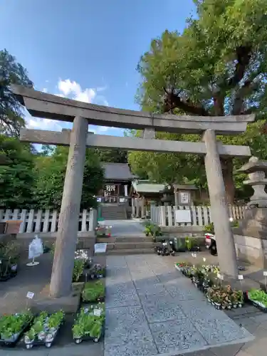 瀬戸神社の鳥居