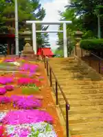 札幌藤野神社(北海道)