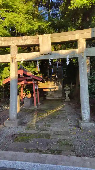 仁杉神社(静岡県)