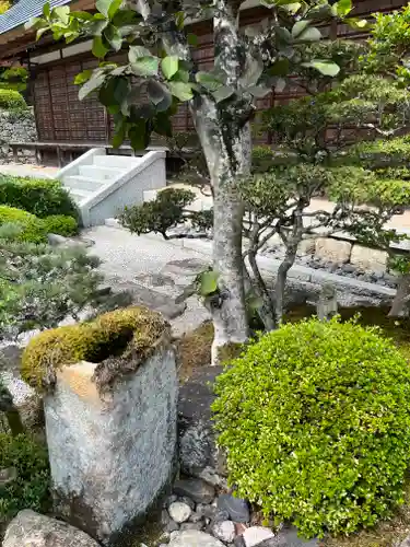 妙感寺の庭園