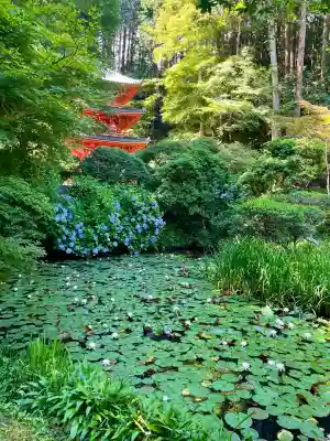 岩船寺の{uncategorized: "未分類", other: "その他", undefined: "問題あり", building: "その他建物", grave: "お墓", sacred_gate: "鳥居", guardian: "狛犬", statue: "像", buddha: "仏像", history: "歴史", nature: "自然", garden: "庭園", animal: "動物", pagoda: "塔", temizu: "手水舎", mountain_gate: "山門・神門", sanctuary: "本殿・本堂", subordinate: "末社・摂社", art: "芸術", scenery: "景色", jizo: "地蔵", ema: "絵馬", goshuin: "御朱印", omikuji: "おみくじ", items: "授与品その他", amulet: "お守り", goshuincho: "御朱印帳", eats: "食事", festival: "お祭り", votive_dance: "神楽", shichigosan: "七五三参", wedding: "結婚式", experience: "体験その他", initially: "初詣", around: "周辺", anti_infection: "感染症対策"}