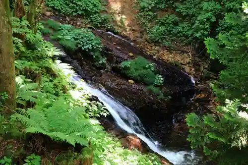 隠津島神社の自然