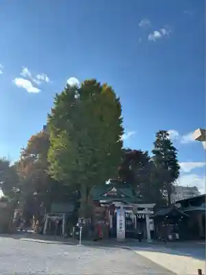 川越八幡宮(埼玉県)