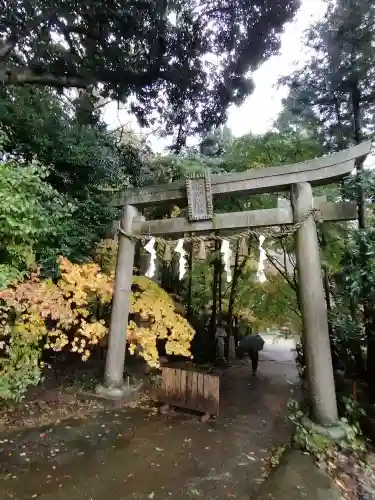 五所駒瀧神社の鳥居