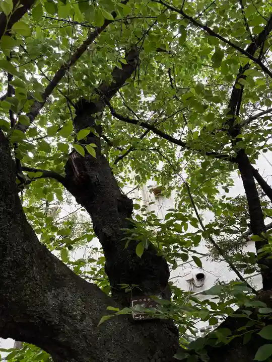 猿江神社(東京都)