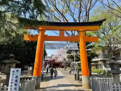 旗岡八幡神社の鳥居