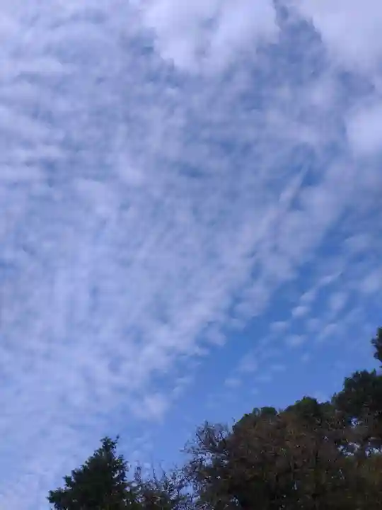 阿佐ヶ谷神明宮の自然