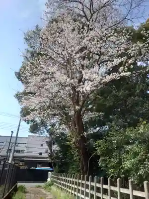 倉見神社(神奈川県)