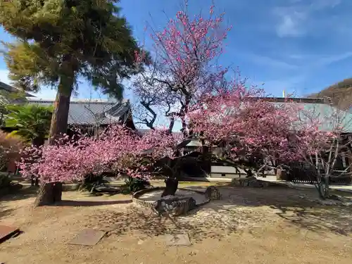 愛媛縣護國神社(愛媛県)