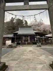 賀茂別雷神社の本殿