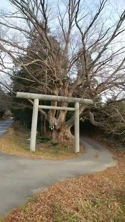 雨引千勝神社の自然