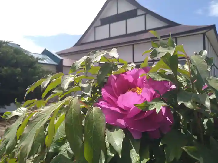 雨竜 専福寺(北海道)
