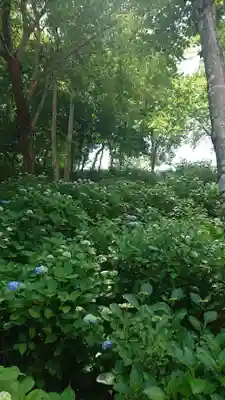 高林寺(福島県)