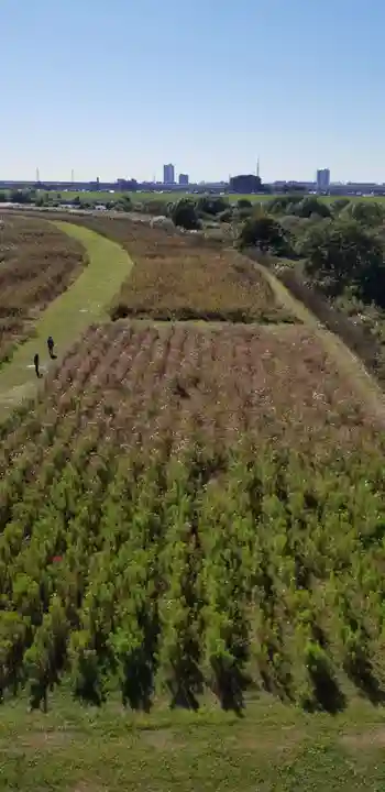 鵜森稲荷神社の周辺