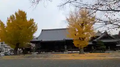 本願寺山科別院(京都府)