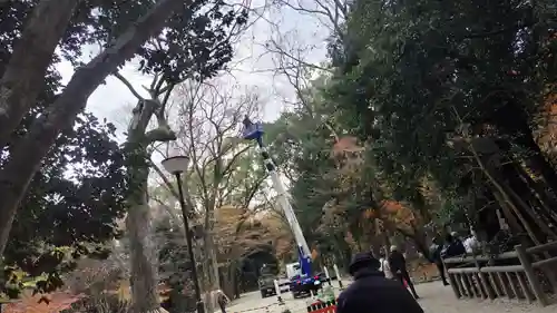 賀茂御祖神社（下鴨神社）(京都府)