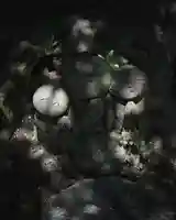 崇真寺(開運犬り切不動尊)(栃木県)