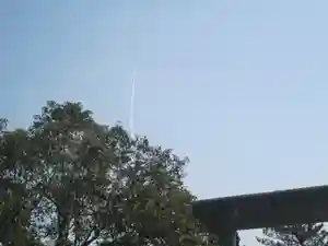 屋久島大社の体験その他(2023年03月07日(火) 12時50分34秒投稿)