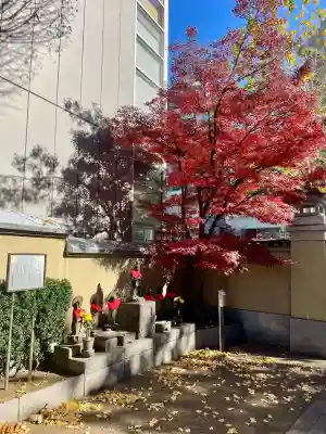 長泉寺(東京都)