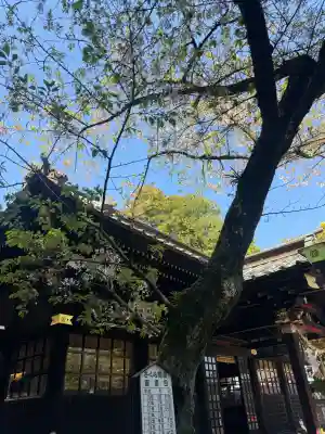玉前神社の{uncategorized: "未分類", other: "その他", undefined: "問題あり", building: "その他建物", grave: "お墓", sacred_gate: "鳥居", guardian: "狛犬", statue: "像", buddha: "仏像", history: "歴史", nature: "自然", garden: "庭園", animal: "動物", pagoda: "塔", temizu: "手水舎", mountain_gate: "山門・神門", sanctuary: "本殿・本堂", subordinate: "末社・摂社", art: "芸術", scenery: "景色", jizo: "地蔵", ema: "絵馬", goshuin: "御朱印", omikuji: "おみくじ", items: "授与品その他", amulet: "お守り", goshuincho: "御朱印帳", eats: "食事", festival: "お祭り", votive_dance: "神楽", shichigosan: "七五三参", wedding: "結婚式", experience: "体験その他", initially: "初詣", around: "周辺", anti_infection: "感染症対策"}
