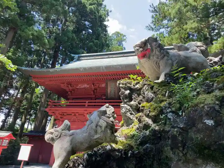 富士山東口本宮 冨士浅間神社の狛犬