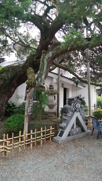 光傳寺(光伝寺)の自然