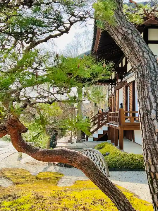 法玄寺の{uncategorized: "未分類", other: "その他", undefined: "問題あり", building: "その他建物", grave: "お墓", sacred_gate: "鳥居", guardian: "狛犬", statue: "像", buddha: "仏像", history: "歴史", nature: "自然", garden: "庭園", animal: "動物", pagoda: "塔", temizu: "手水舎", mountain_gate: "山門・神門", sanctuary: "本殿・本堂", subordinate: "末社・摂社", art: "芸術", scenery: "景色", jizo: "地蔵", ema: "絵馬", goshuin: "御朱印", omikuji: "おみくじ", items: "授与品その他", amulet: "お守り", goshuincho: "御朱印帳", eats: "食事", festival: "お祭り", votive_dance: "神楽", shichigosan: "七五三参", wedding: "結婚式", experience: "体験その他", initially: "初詣", around: "周辺", anti_infection: "感染症対策"}
