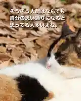 専念寺(大阪府)