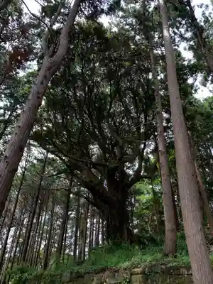 天照皇太神宮の自然