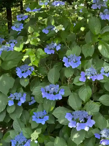 長野縣護國神社(長野県)