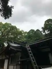 白山神社(愛媛県)