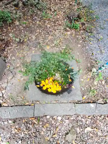大星神社(長野県)