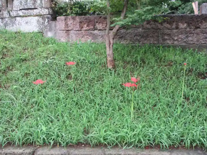 時宗総本山 遊行寺(正式:清浄光寺)(神奈川県)
