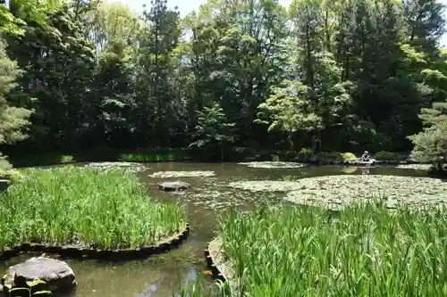 平安神宮の庭園