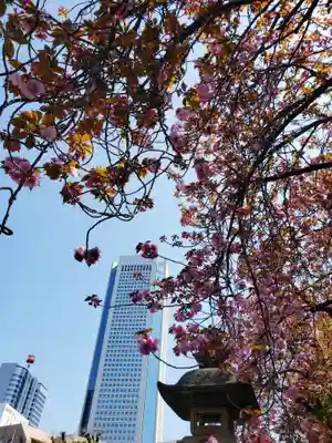 荘厳寺(東京都)