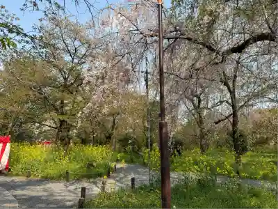 平野神社(京都府)