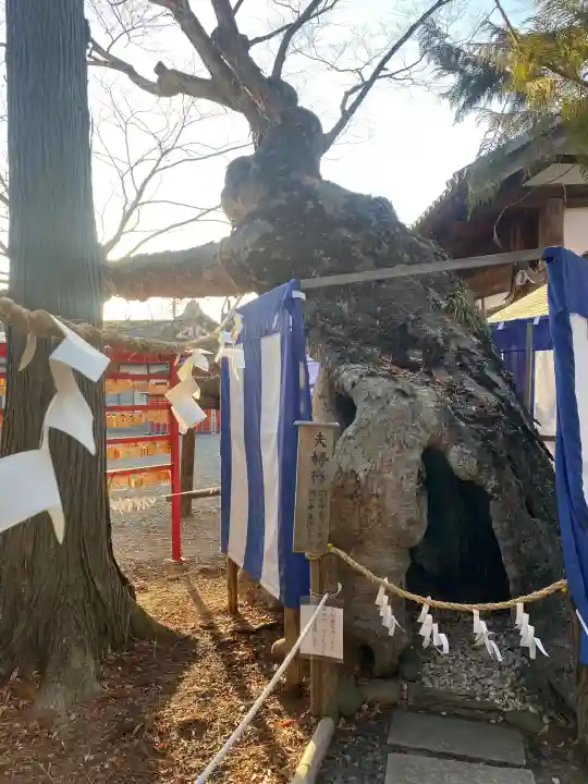 生島足島神社の{uncategorized: "未分類", other: "その他", undefined: "問題あり", building: "その他建物", grave: "お墓", sacred_gate: "鳥居", guardian: "狛犬", statue: "像", buddha: "仏像", history: "歴史", nature: "自然", garden: "庭園", animal: "動物", pagoda: "塔", temizu: "手水舎", mountain_gate: "山門・神門", sanctuary: "本殿・本堂", subordinate: "末社・摂社", art: "芸術", scenery: "景色", jizo: "地蔵", ema: "絵馬", goshuin: "御朱印", omikuji: "おみくじ", items: "授与品その他", amulet: "お守り", goshuincho: "御朱印帳", eats: "食事", festival: "お祭り", votive_dance: "神楽", shichigosan: "七五三参", wedding: "結婚式", experience: "体験その他", initially: "初詣", around: "周辺", anti_infection: "感染症対策"}