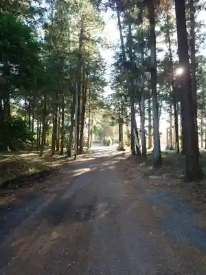 鎌形八幡神社の{uncategorized: "未分類", other: "その他", undefined: "問題あり", building: "その他建物", grave: "お墓", sacred_gate: "鳥居", guardian: "狛犬", statue: "像", buddha: "仏像", history: "歴史", nature: "自然", garden: "庭園", animal: "動物", pagoda: "塔", temizu: "手水舎", mountain_gate: "山門・神門", sanctuary: "本殿・本堂", subordinate: "末社・摂社", art: "芸術", scenery: "景色", jizo: "地蔵", ema: "絵馬", goshuin: "御朱印", omikuji: "おみくじ", items: "授与品その他", amulet: "お守り", goshuincho: "御朱印帳", eats: "食事", festival: "お祭り", votive_dance: "神楽", shichigosan: "七五三参", wedding: "結婚式", experience: "体験その他", initially: "初詣", around: "周辺", anti_infection: "感染症対策"}