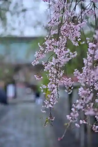 三嶋大社の庭園