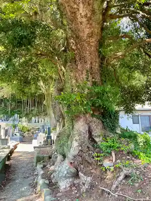 真福寺(神奈川県)